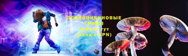 гидра Горно-Алтайск