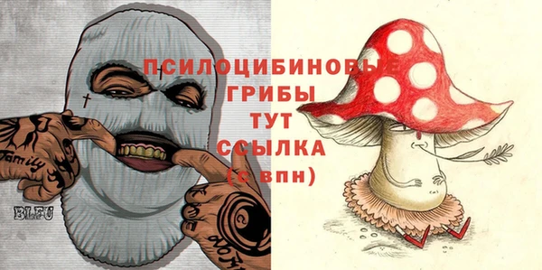 дживик Шали