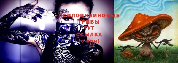 гидра Горно-Алтайск
